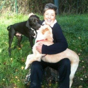 Foto di Federica, Petsitter a Cavallasca