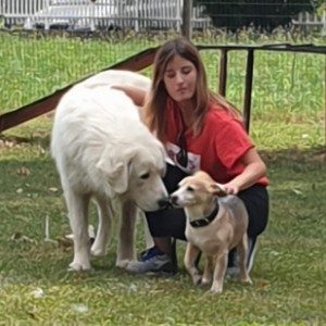 Foto di Alice, Petsitter a Bassano del grappa