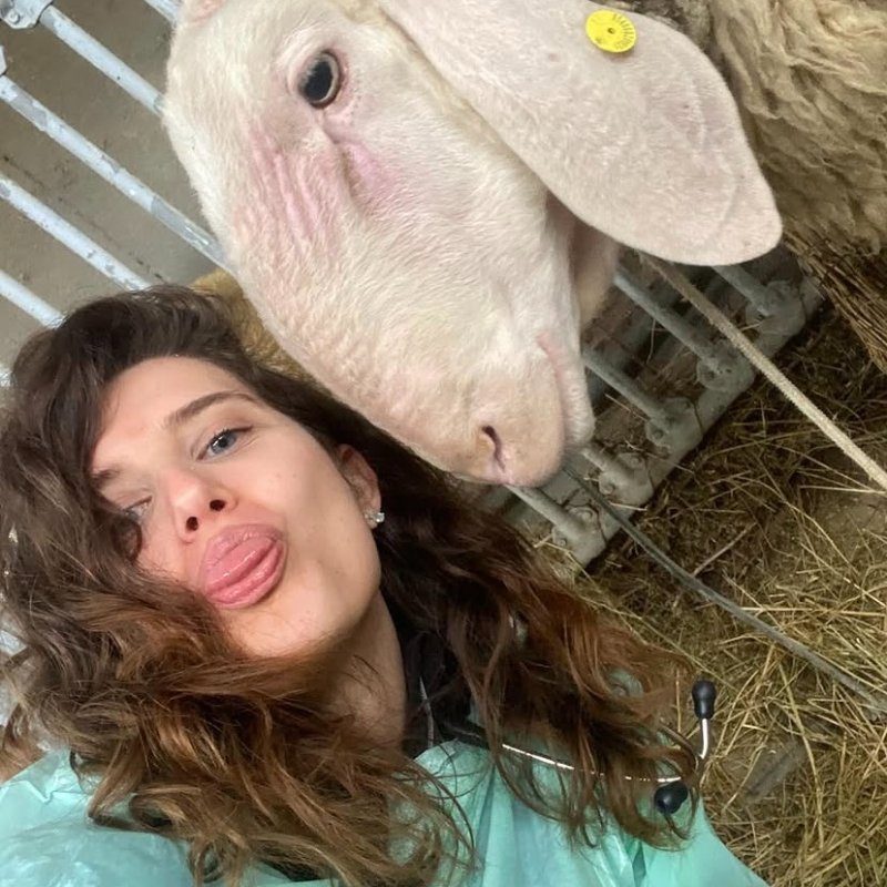 Foto di Alessia, animali