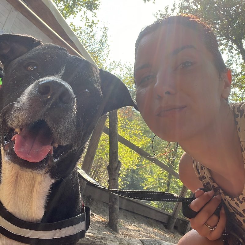 Foto di Gaia, animali